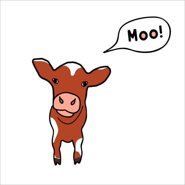 Cow mooing flat color vector illustration Cow mooing flat color vector illustration. Little calf isolated cartoon character on white background for design. Hand drawn cute animal with moo text in speech bubble cow clipart stock illustrations