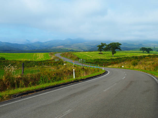 istock Autumn Hokkaido landscape 1256485261