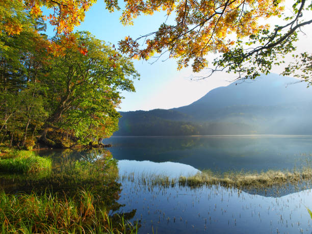 istock Autumn Hokkaido landscape 1256485918