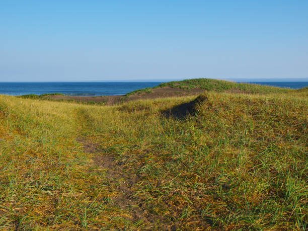 istock Autumn Hokkaido landscape 1256485957