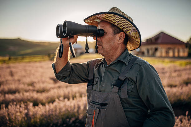 istock One senior farmer examining lavander plants 1256486202
