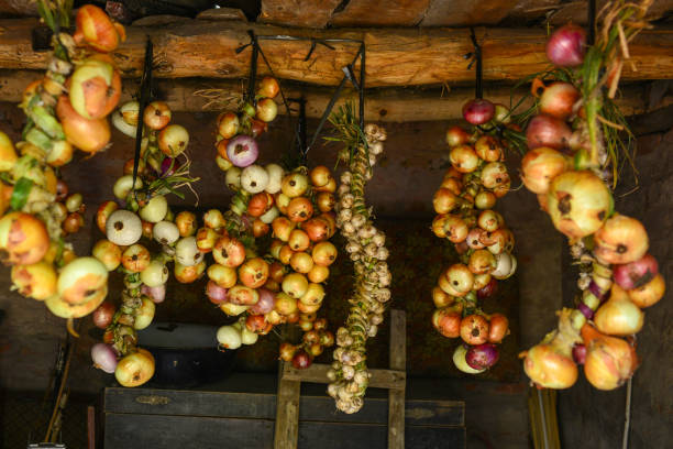 Harvest. Bunches of onions are dried in a barn in the village Harvest. Bunches of onions are dried in a barn in the village. Relish stock pictures, royalty-free photos & images