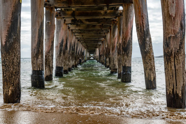 istock Trestle at Point Lonsdale Jetty,  Victoria, Australia 1256486323