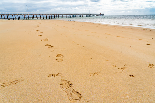 Footprints in the wadden sea