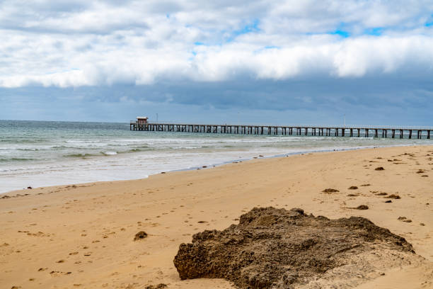 istock Trestle at Point Lonsdale Jetty,  Victoria, Australia 1256487480