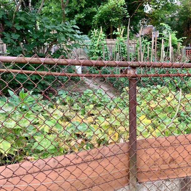 istock Urban Garden in Small Space 1256487595