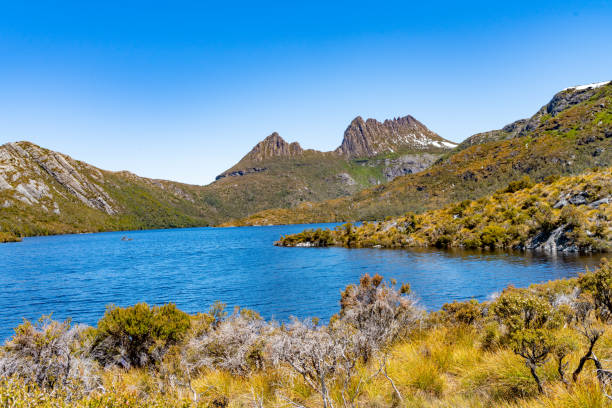 istock Cradle Mountain, Tasmania, Australia 1256487721