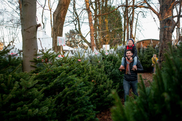 Christmas with Father A Father walking with his son sitting on his shoulders at a Christmas market in Northeastern England. They are wearing warm clothing while shopping for a Christmas tree. tree farm stock pictures, royalty-free photos & images