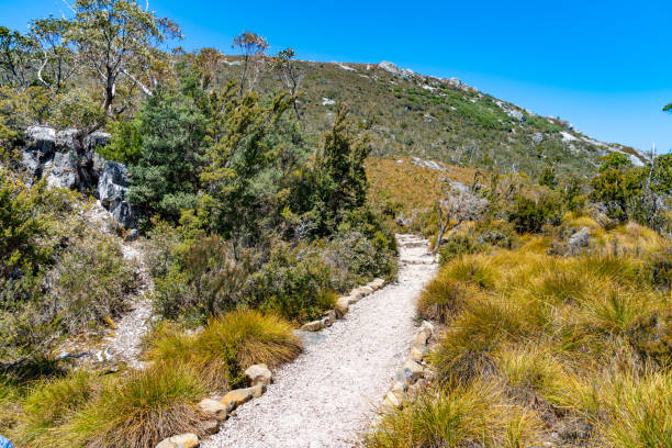 istock Cradle Mountain, Tasmania, Australia 1256487857