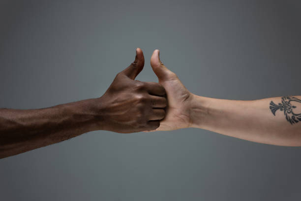 istock Racial tolerance. Respect social unity. African and caucasian hands gesturing isolated on gray studio background 1256488596
