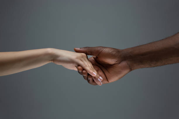 istock Racial tolerance. Respect social unity. African and caucasian hands gesturing isolated on gray studio background 1256488613