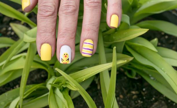 Chick and Stripes Nail Art Design Easter inspired art yellow nail polish stock pictures, royalty-free photos & images