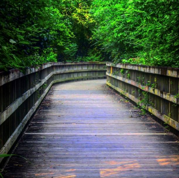 Excellent footpath on a Greenville Greenway trail