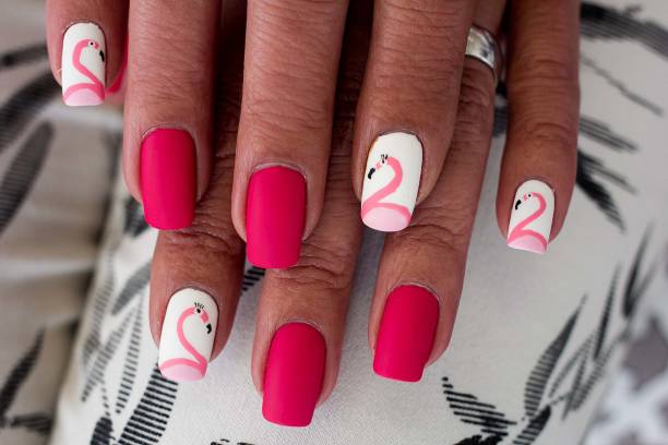 design de arte de unha flamingos rosa - bird fashion color image women - fotografias e filmes do acervo