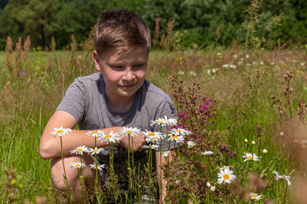 istock Portrait of a boy on blooming field 1256490830