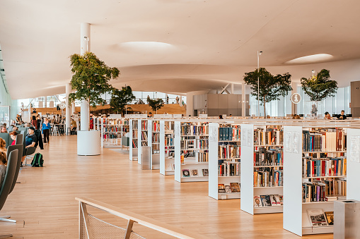 Book shelves inside a library with nobody. Empty institution with books shelves. School library with no students