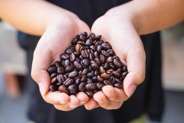 istock Roasted coffee beans in hand 1256493826