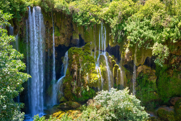 istock Streams of mountain forest waterfall. Yerkopru waterfall, Turkey 1256494836