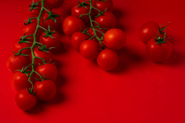 istock Organic branch of tomatoes on a red background. 1256496894