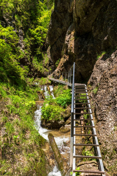 istock Nove diery gorge in Mala Fatra mountains in Slovakia 1256497868