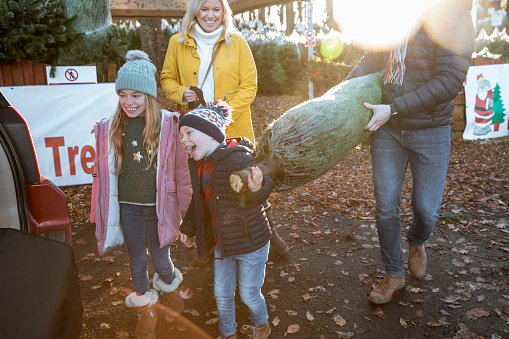A family with two children wearing warm clothing shopping for a Christmas tree at a Christmas market in Northeastern England. The father and young boy are holding a wrapped Christmas tree.