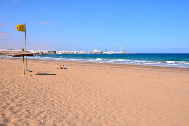 istock Landscape in Tropical Volcanic Canary Islands Spain 1256501553