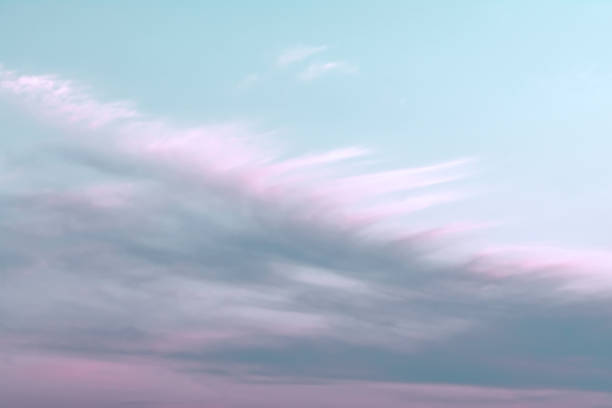 istock Blue sky with white and pink clouds that form a feather pattern. Concept landscape, abstraction. 1256503931