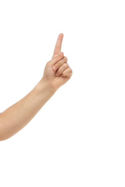 istock Children's hand, palm gesturing isolated on white studio background 1256503965
