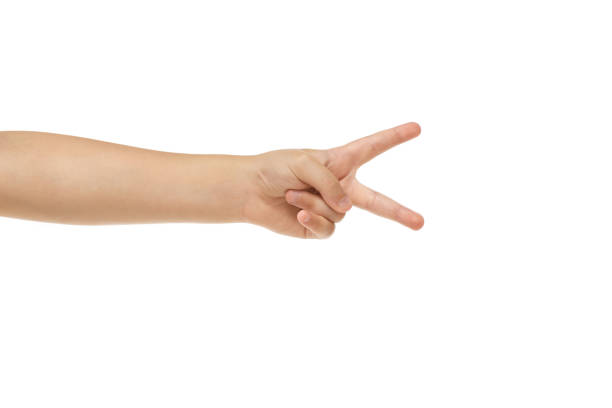 istock Children's hand, palm gesturing isolated on white studio background 1256503984