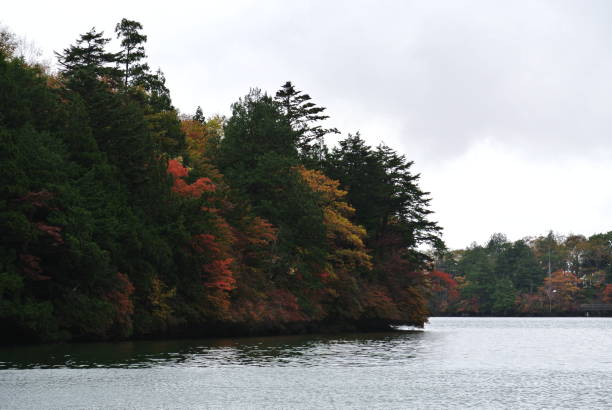 istock Forest by the lake in Nikko , Tochigi 1256508377