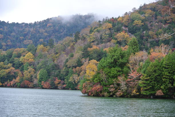 istock Forest by the lake in Nikko , Tochigi 1256508441