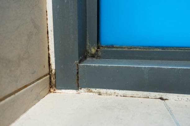 istock Old plastic window frame in the shower. Moldy angle, fungus. Problem areas shower. 1256509324