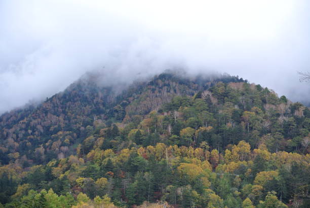 istock Autumn Nikko , Japan 1256509399