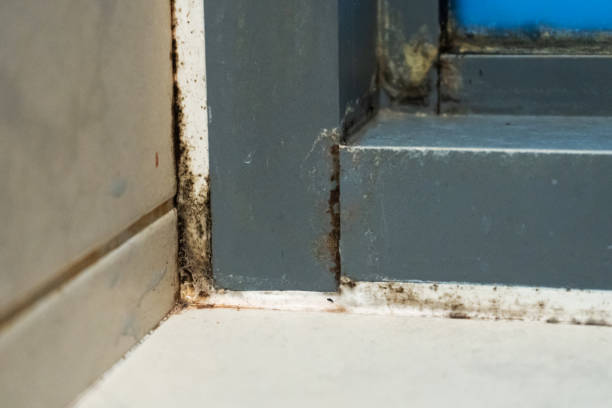 istock Old plastic window frame in the shower. Moldy angle, fungus. Problem areas shower. 1256509558