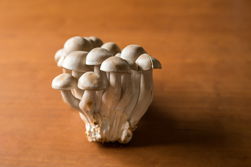 Harvested organic shimeji mushrooms on the table. In the house. Healthy life.
