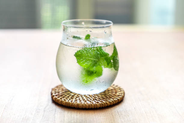 le verdure in tavola - mint peppermint water leaf foto e immagini stock