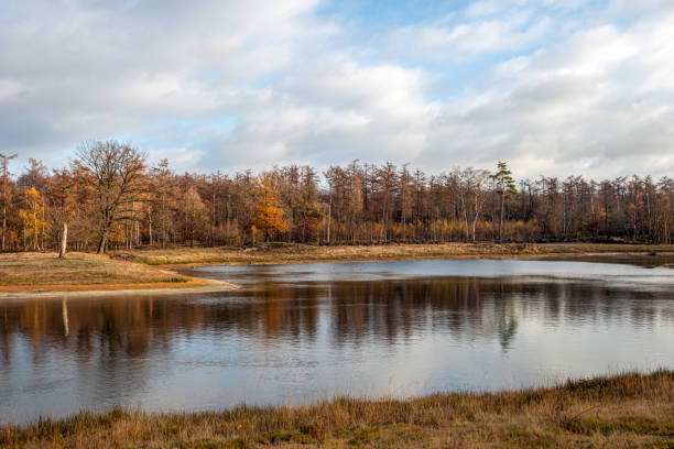 istock Silence and space at a lake in fall colors 1256512928