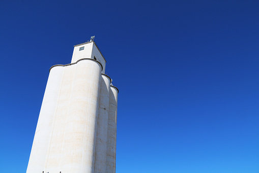 tall community co-op cooperative agricultural farm feed grain and corn silo building in a small town in rural heartland america perfect for farming and agriculture stock imagery