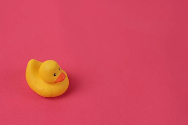 istock Animals backdrops. Yellow rubber duck toy on bright pink background. Copy space for text. 1256514000