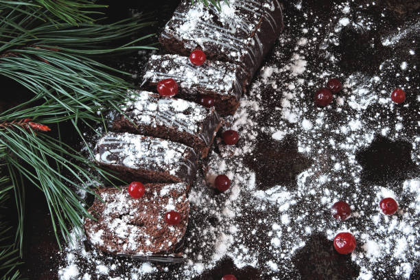 istock Chocolate Christmas log in powdered sugar with cranberries. 1256514195