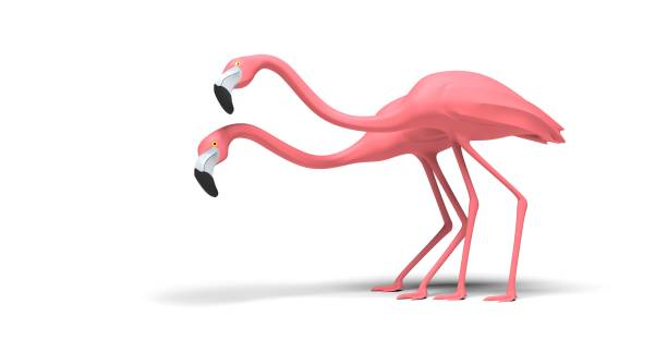 istock Pink flamingo illustration - 3D rendering 1256516798