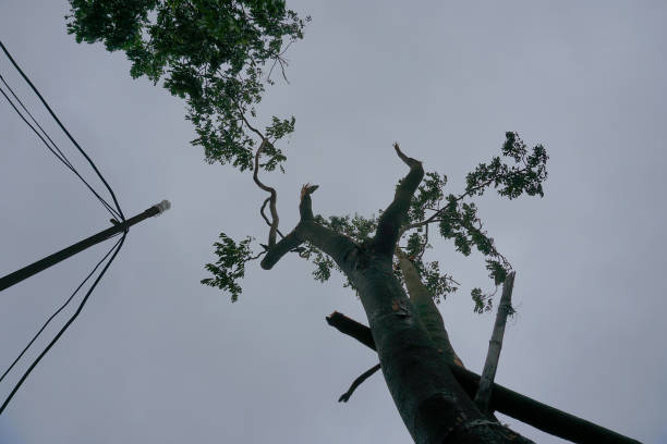 istock Super cyclone Amphan, West Bengal, India 1256520933