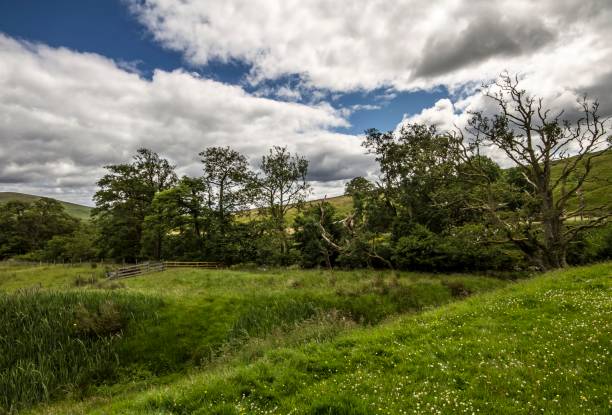 istock Land & Sky Of The Scottish Borders. 1256521149