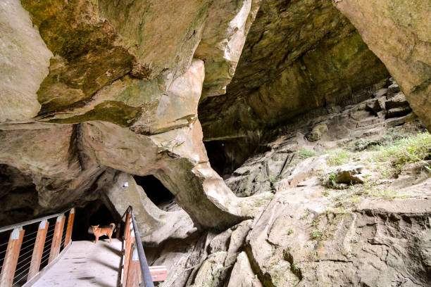 istock Entrance to the cave 1256522777