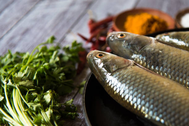 Close up of fresh fish with use of selective focus on a particular part of the fish, with rest of the fish and other ingredients and condiments blurred.