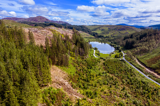 An image captured by a drone as it is flown over an area of forest with recently felled trees.\nThe location is Dumfries and Galloway in south west Scotland captured on a bright summer day.