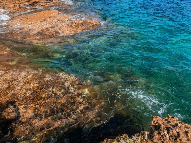 istock Adriatic blue sea with coastal cliffs on a sunny day. Montenegro 1256526036