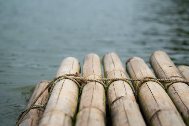 bamboo rafting on the lake water. - balsa tree imagens e fotografias de stock