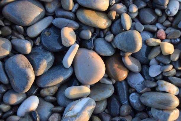 istock Pebbles on beach detail 1256528727