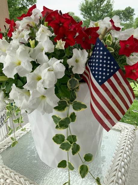 4th of July flowers
